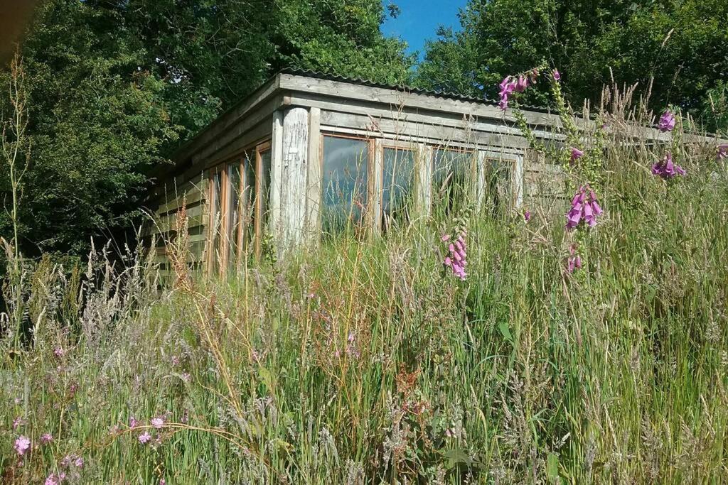 Foxesden, Unique Eco Cabin, Dartmoor Views South Brent Exterior foto